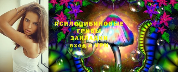прущие крисы Алексеевка