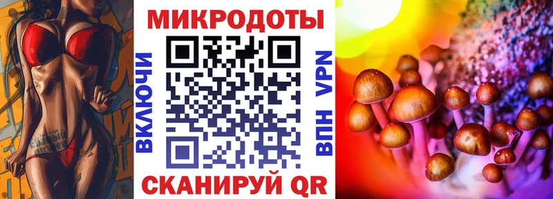 Галлюциногенные грибы Psilocybine cubensis  Щёлково 